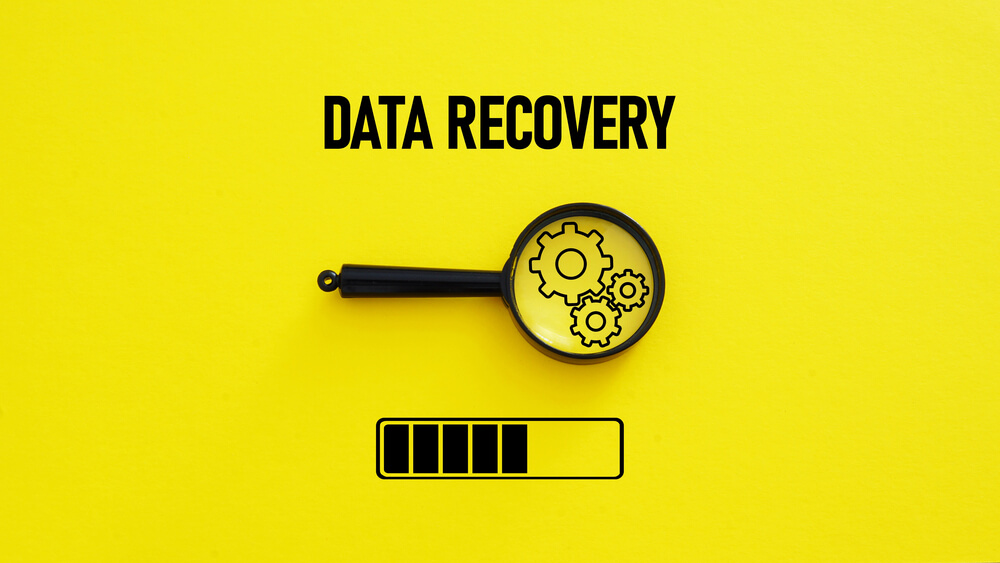 Data Backup and Recovery
